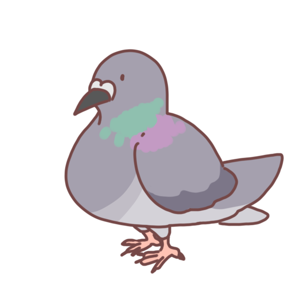 鳩 簡単 イラスト詳細 5位