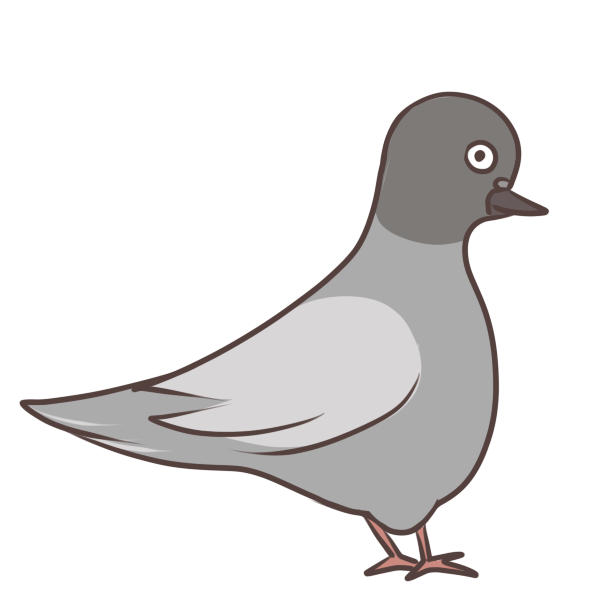 鳩 飛ん でる詳細 5位