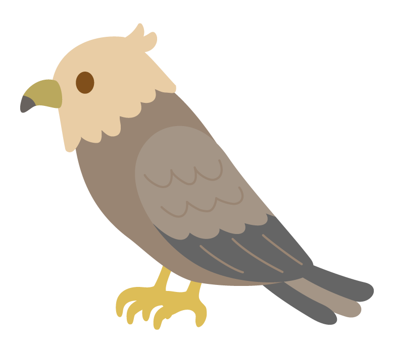 鳶 イラスト - KibrisPDR