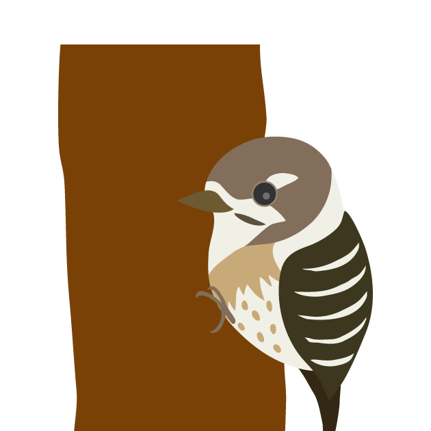 鳶 イラスト詳細 4位
