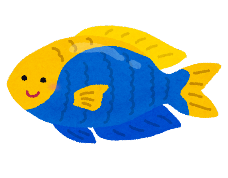 黄色 の 魚詳細 6位