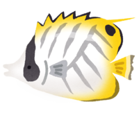 黄色い 熱帯魚詳細 12位
