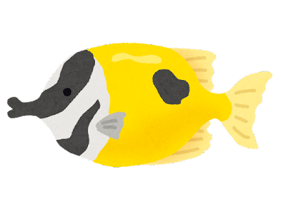 黄色い 熱帯魚詳細 3位