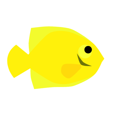 黄色い 熱帯魚詳細 8位