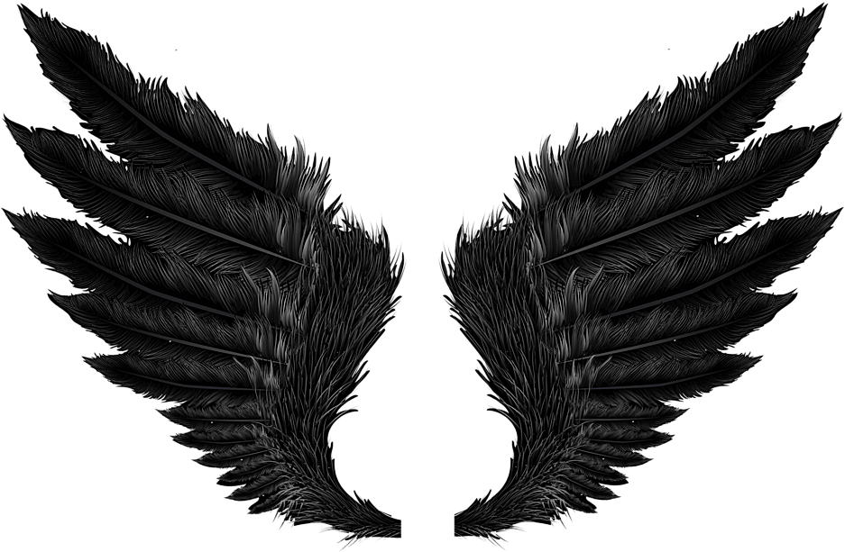 黒い 羽根 - KibrisPDR