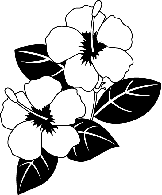 黒い 花詳細 11位