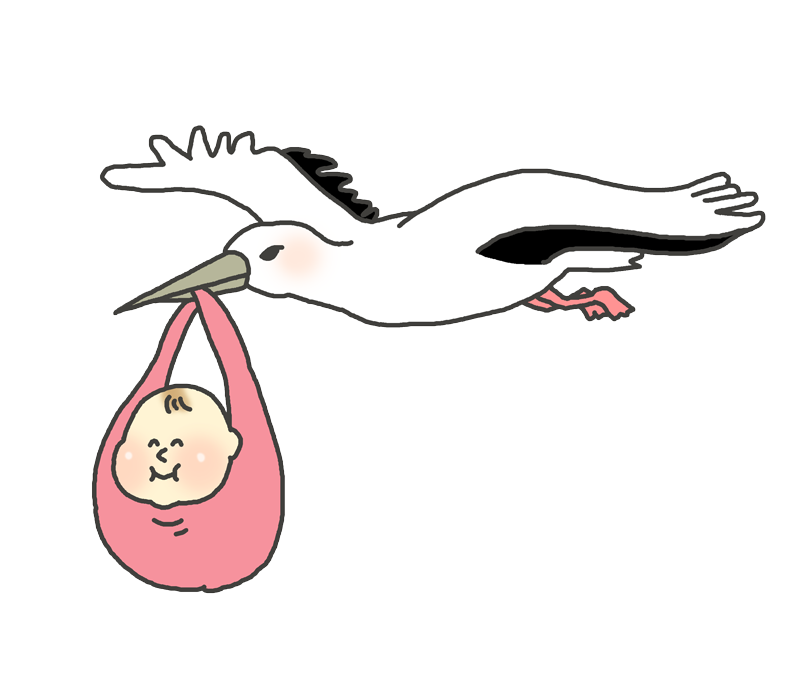 こう の とり イラスト詳細 3位