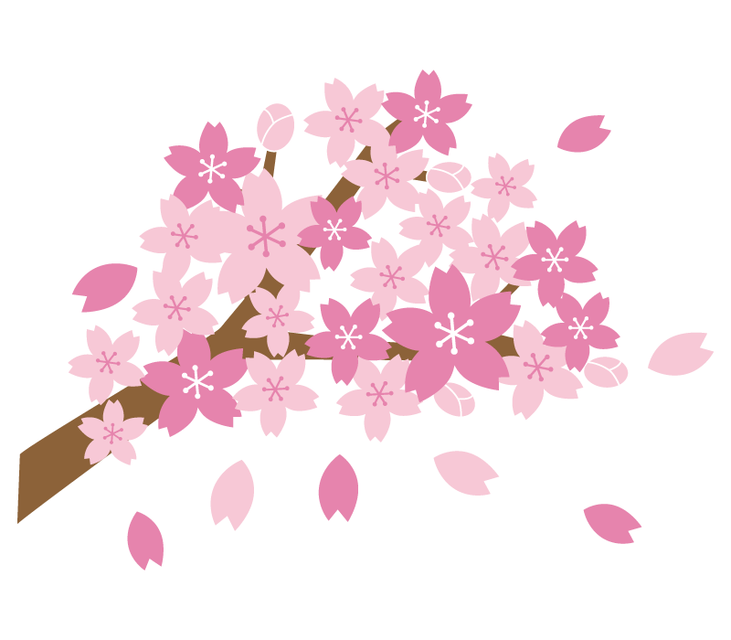 さくら 絵詳細 8位