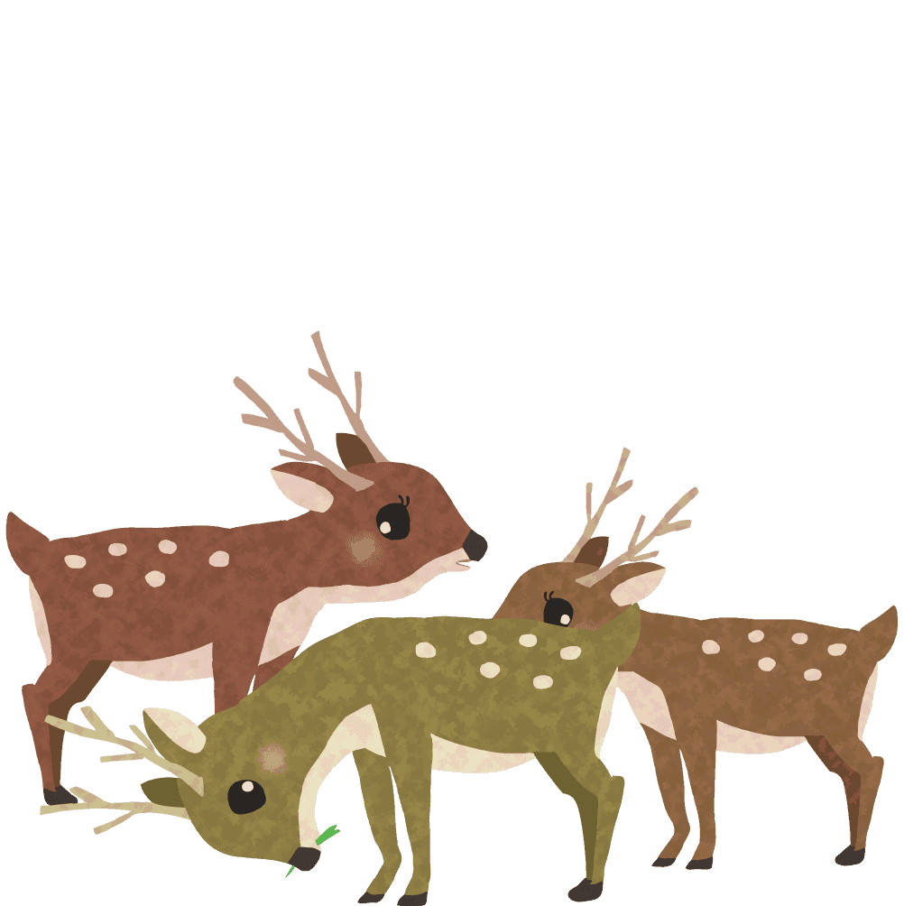 しか イラスト詳細 11位