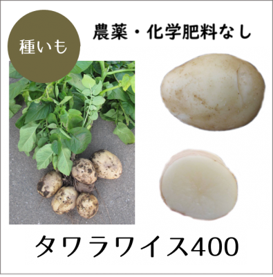 じゃがいも 画像詳細 11位