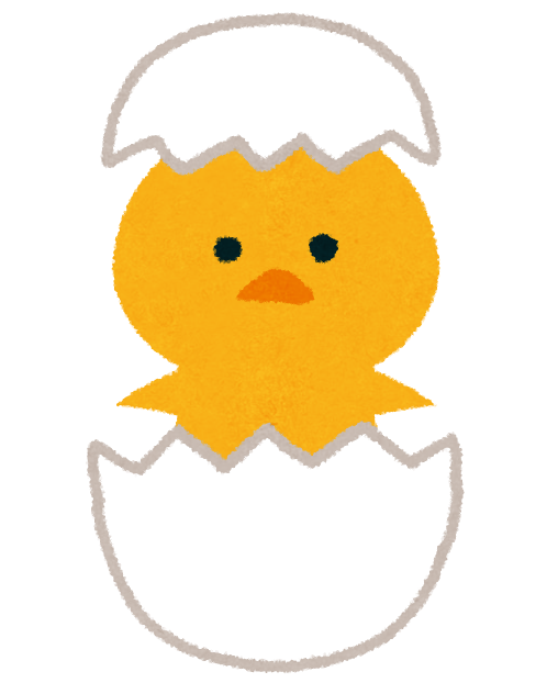 ひよこ 成長 過程詳細 12位