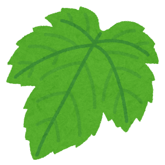 ぶどう 葉っぱ イラスト - KibrisPDR