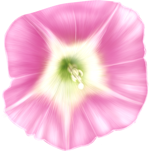 アイコン 花 おしゃれ詳細 7位