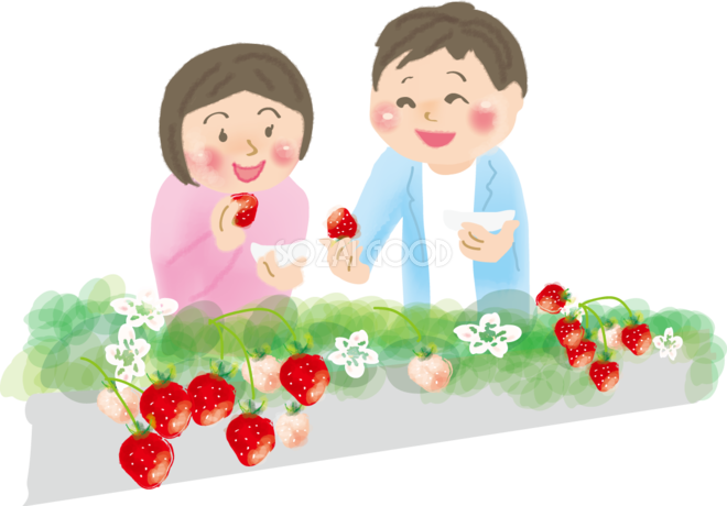イラスト いちご 狩り - KibrisPDR