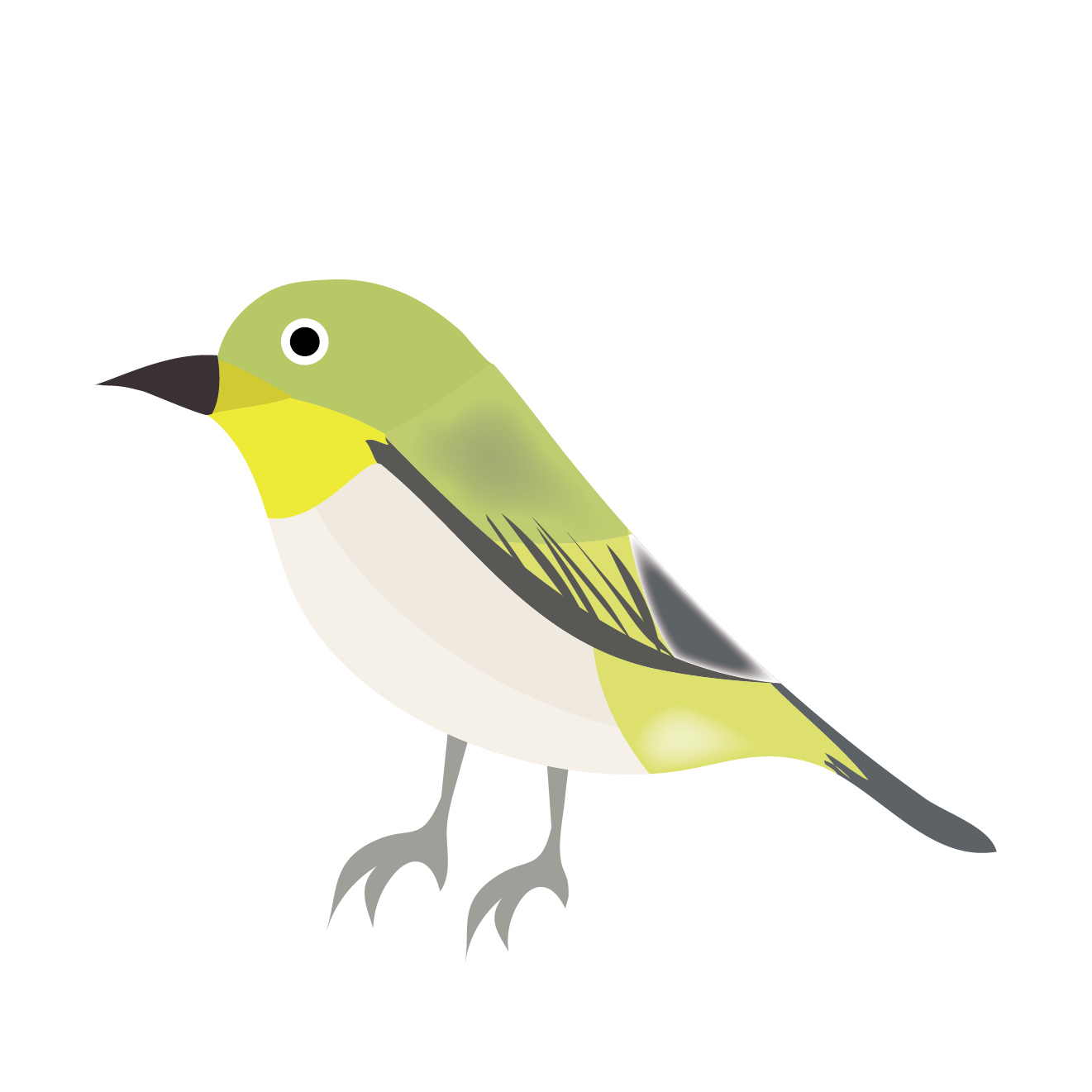 イラスト かわいい 鳥詳細 7位