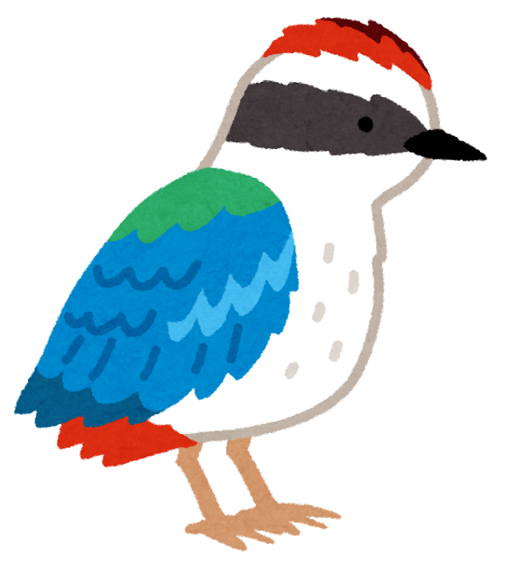 イラスト かわいい 鳥詳細 8位
