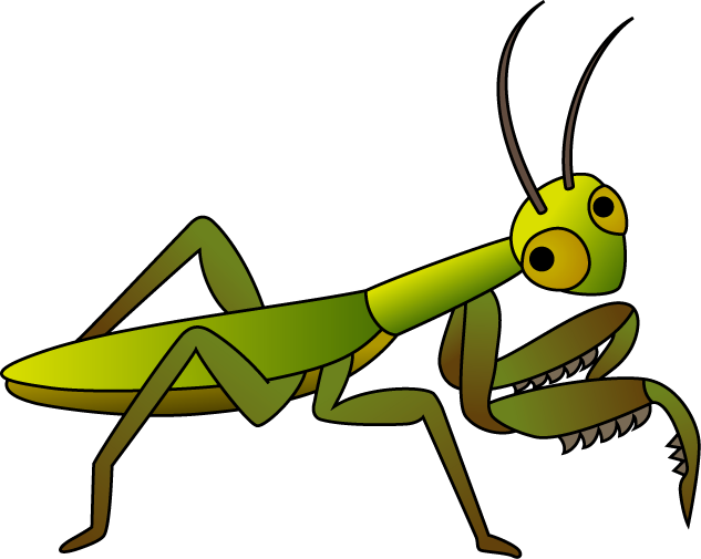 イラスト カマキリ詳細 4位
