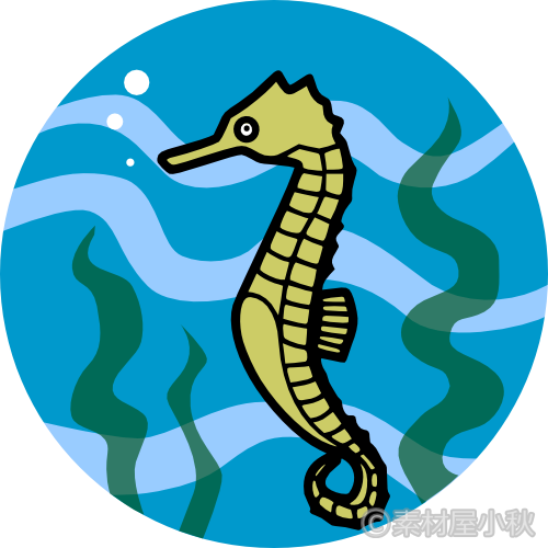 イラスト タツノオトシゴ詳細 7位