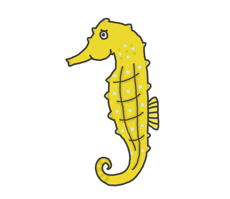 イラスト タツノオトシゴ詳細 2位