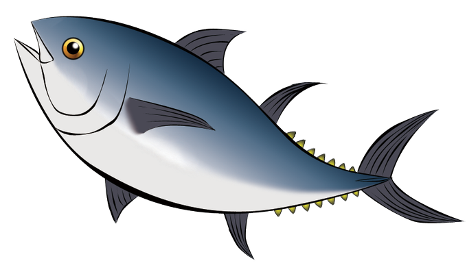 イラスト マグロ詳細 11位