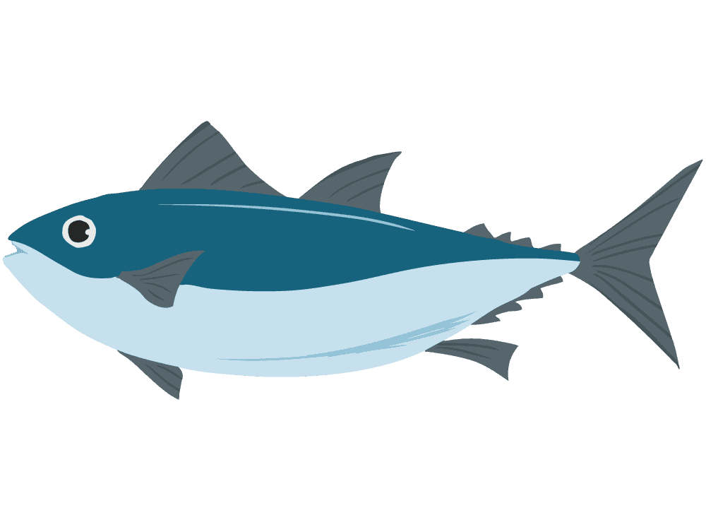 イラスト マグロ詳細 2位