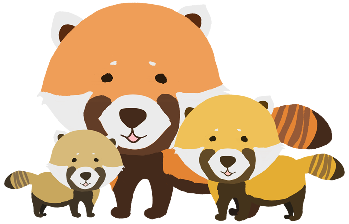 イラスト レッサーパンダ詳細 10位