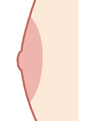 イラスト 乳首 - KibrisPDR