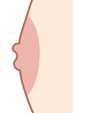 イラスト 乳首詳細 5位