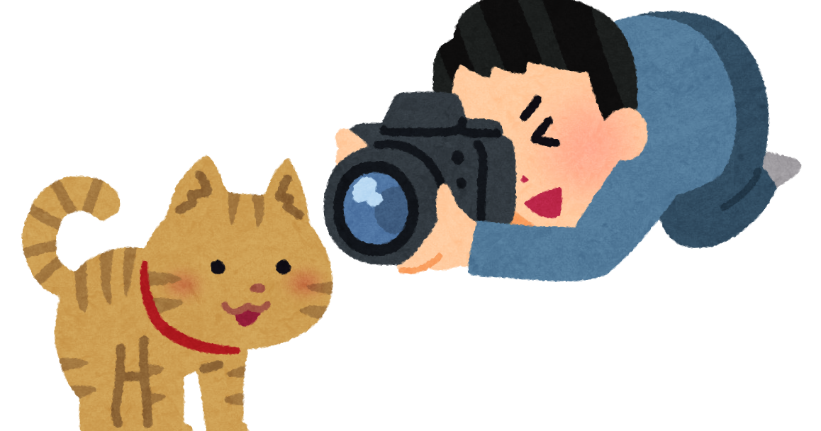 イラスト 写真詳細 5位