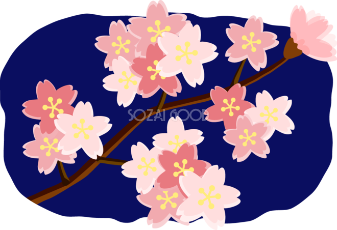 イラスト 夜桜 - KibrisPDR