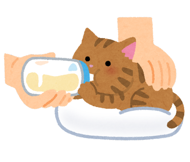 イラスト 子猫詳細 3位