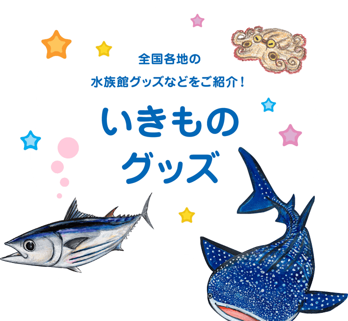 イラスト 水族館詳細 12位