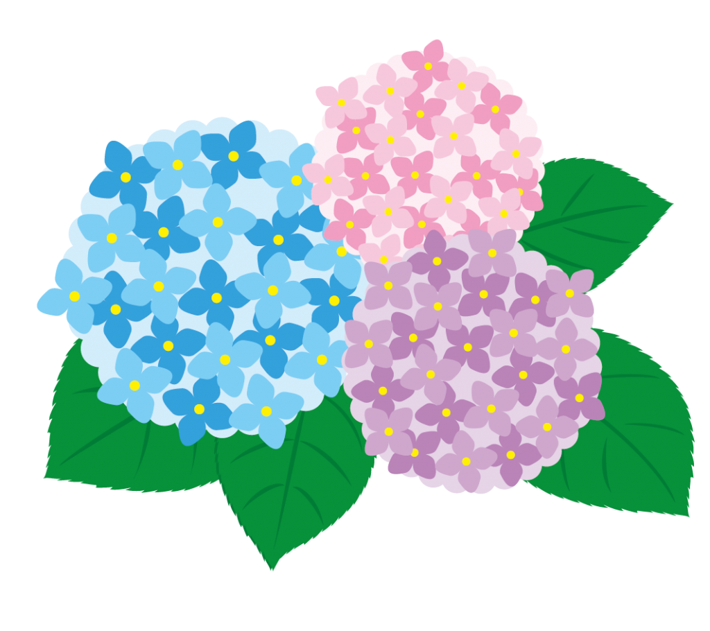 イラスト 無料 あじさい - KibrisPDR