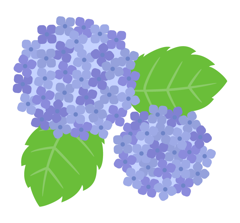 イラスト 紫陽花詳細 2位