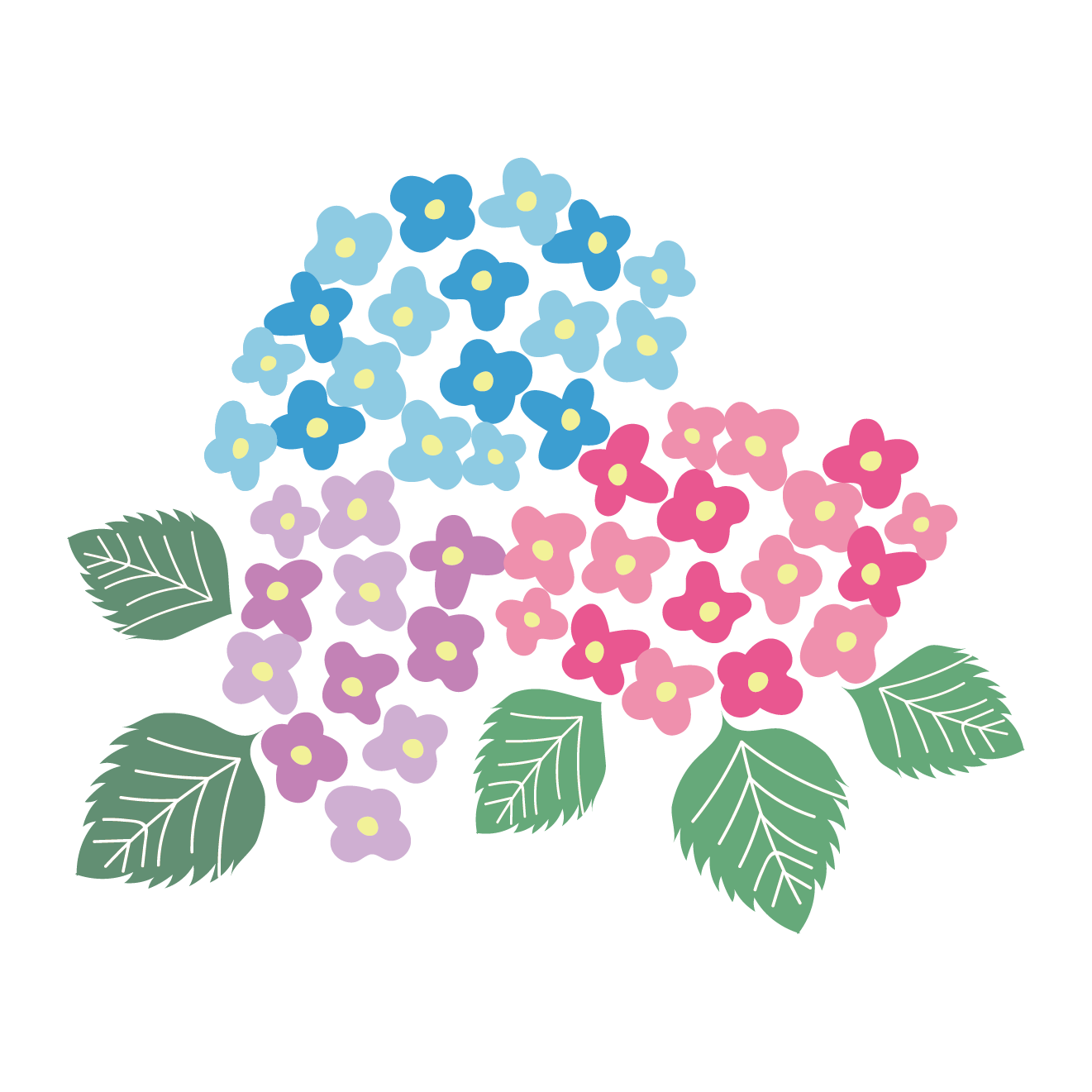 イラスト 紫陽花詳細 7位