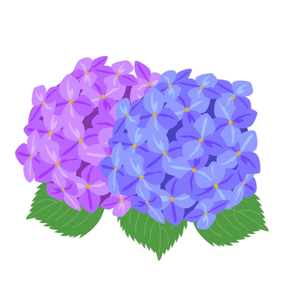 イラスト 紫陽花詳細 8位