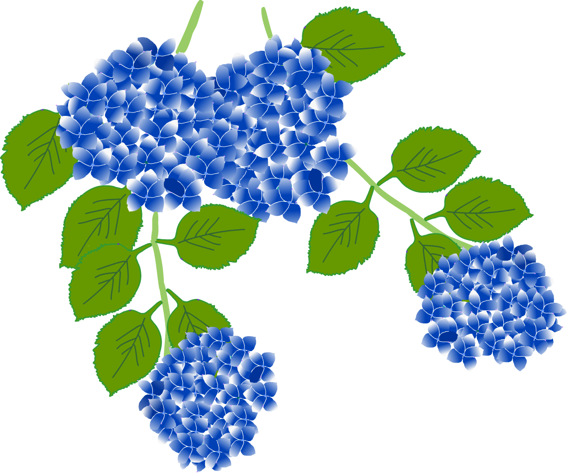 イラスト 紫陽花詳細 3位