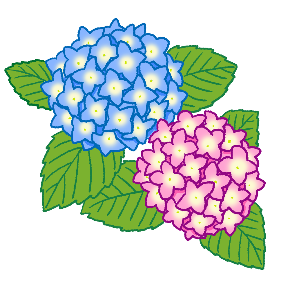 イラスト 紫陽花詳細 4位