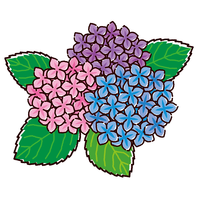 イラスト 紫陽花詳細 6位