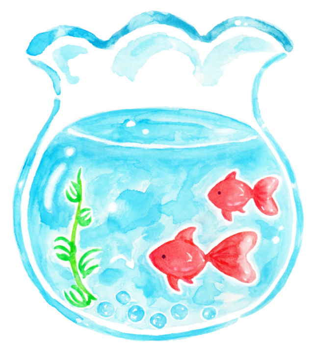 イラスト 金魚鉢 - KibrisPDR