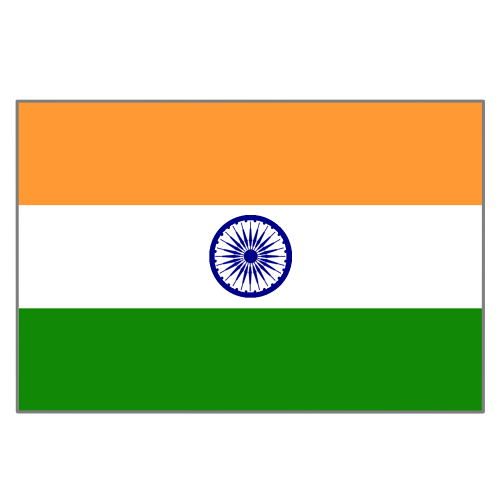 インド 柄詳細 5位