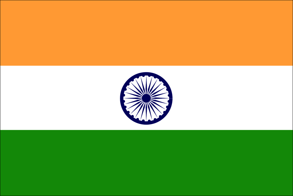 インド 柄詳細 6位