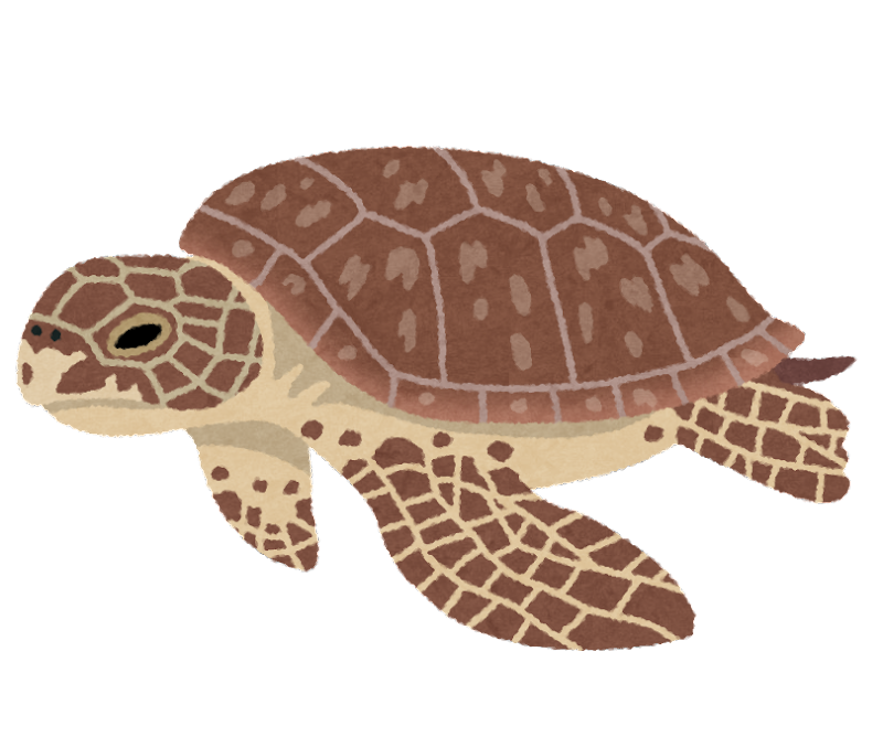 ウミガメ の 絵詳細 2位