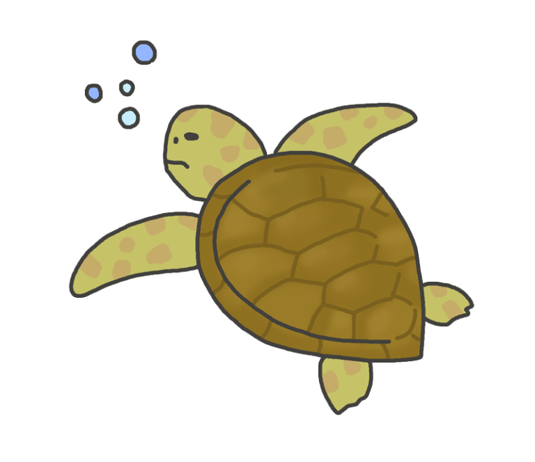 ウミガメ の 絵詳細 8位