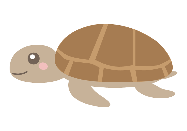 ウミガメ の 絵詳細 10位