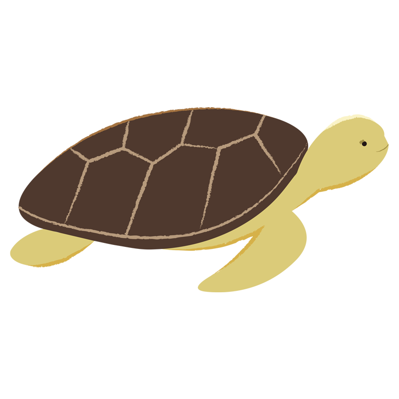 ウミガメ の 絵詳細 11位