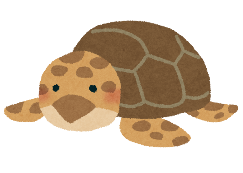 ウミガメ の 絵詳細 4位