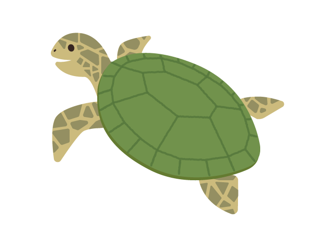 ウミガメ の 絵詳細 6位