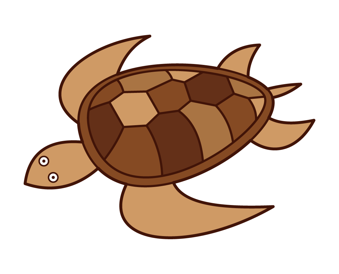 ウミガメ の 絵詳細 7位