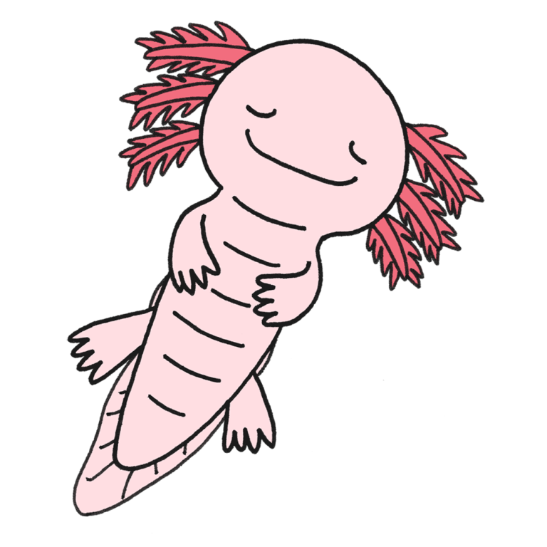 ウーパールーパー イラスト かわいい詳細 2位
